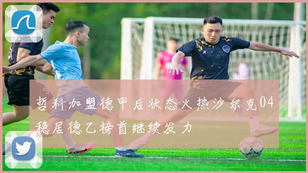 哲科加盟德甲后状态火热沙尔克04稳居德乙榜首继续发力